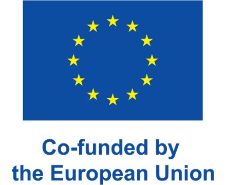 CO-FUNDED BY THE EUROPEAN COMMISSION